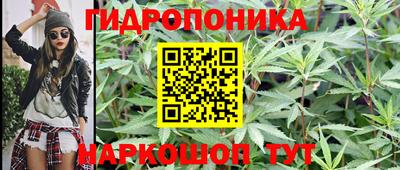 ALPHA PVP Гатчина