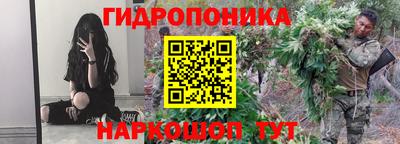 бошки Гагарин
