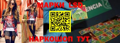 ALPHA PVP Гатчина