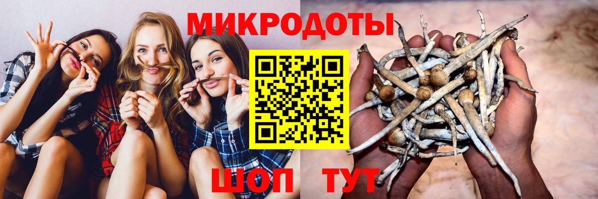 Новотроицк  Псилоцибиновые грибы ЛСД  Вход с VPN  хочу наркоту  Галлюциногенные грибы Psilocybine cubensis 