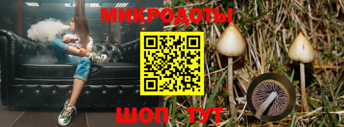 Псилоцибиновые грибы ЛСД Новотроицк