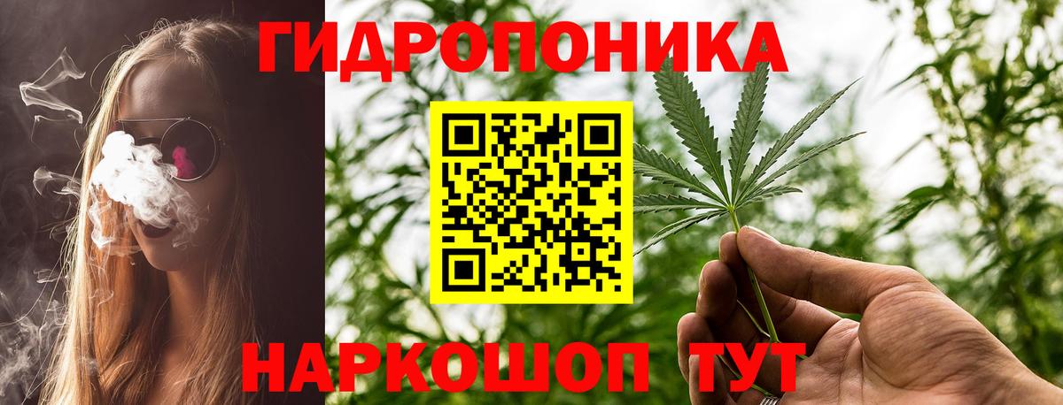 Бошки марихуана White Widow Новотроицк